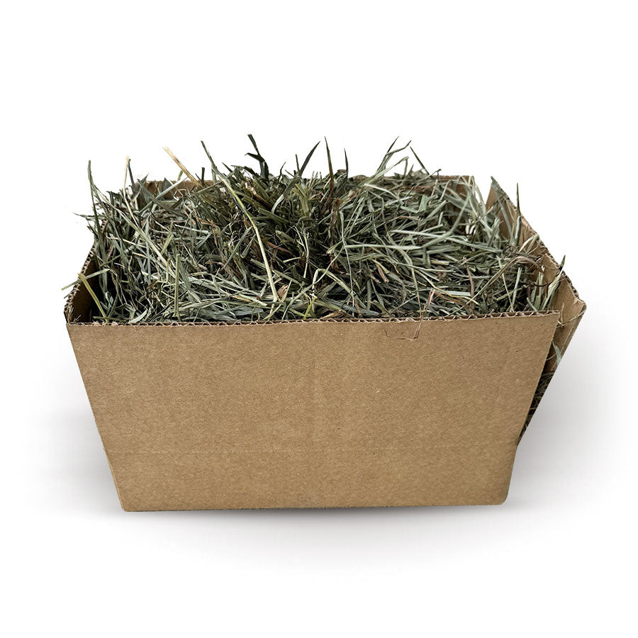 Sample Box – Hayday Pet Hay